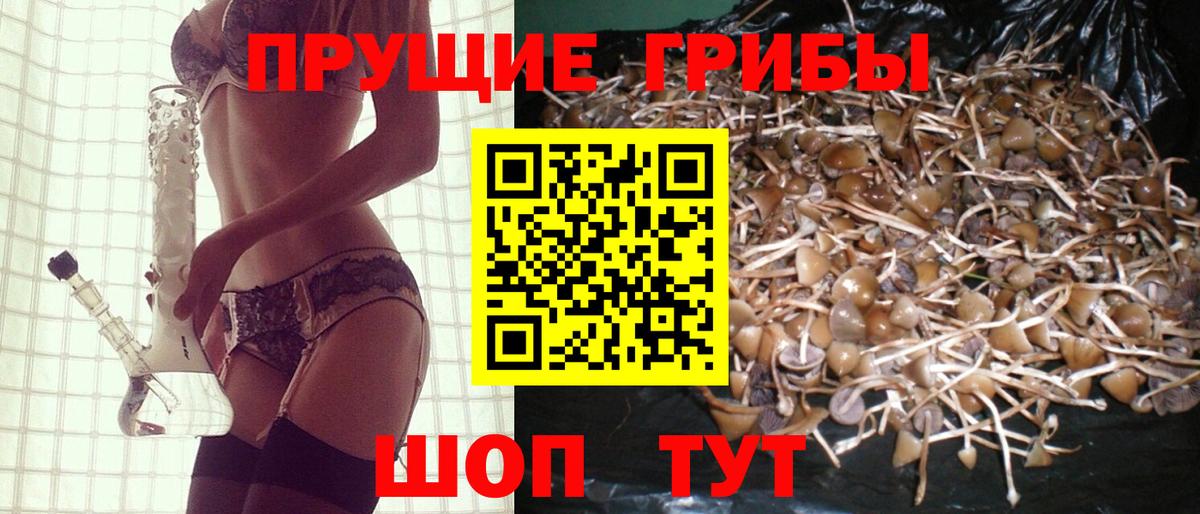 Галлюциногенные грибы GOLDEN TEACHER  Галлюциногенные грибы мухоморы  Самара  Вход с VPN 